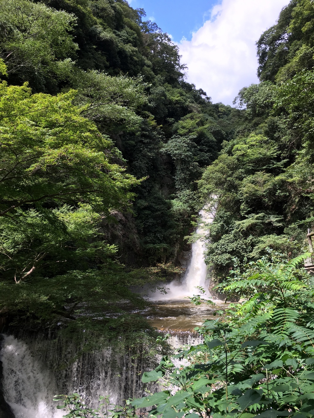 布引の