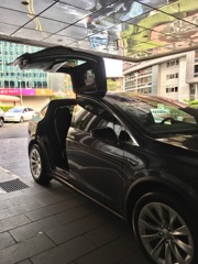 Model X