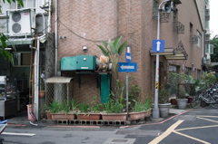 SDIM4955