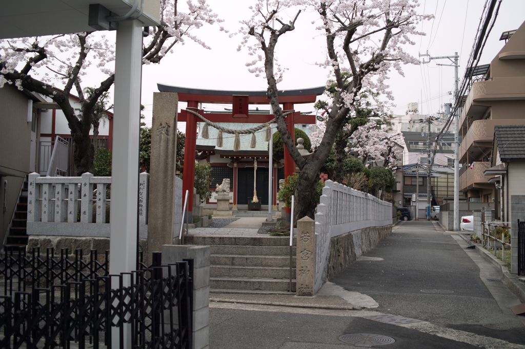 SDIM5001