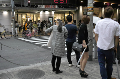 SDIM0591