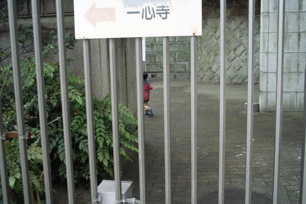SDIM5602