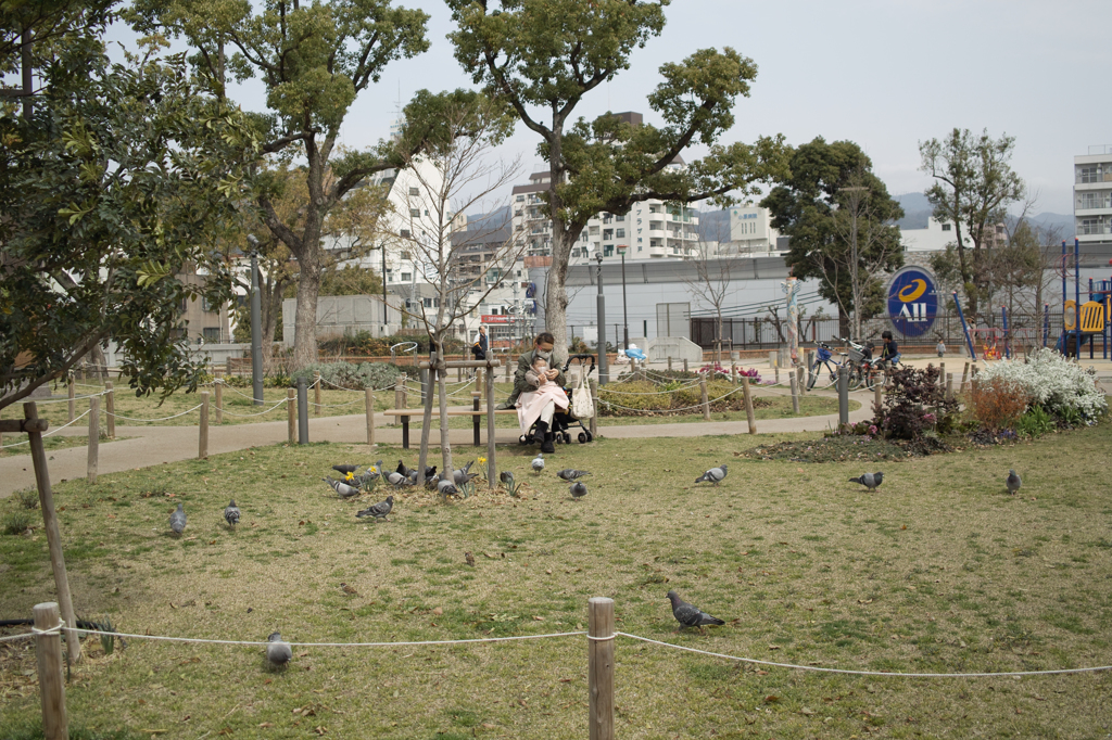 幸福写真