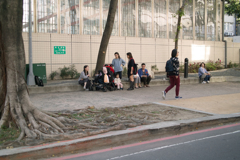 SDIM2155
