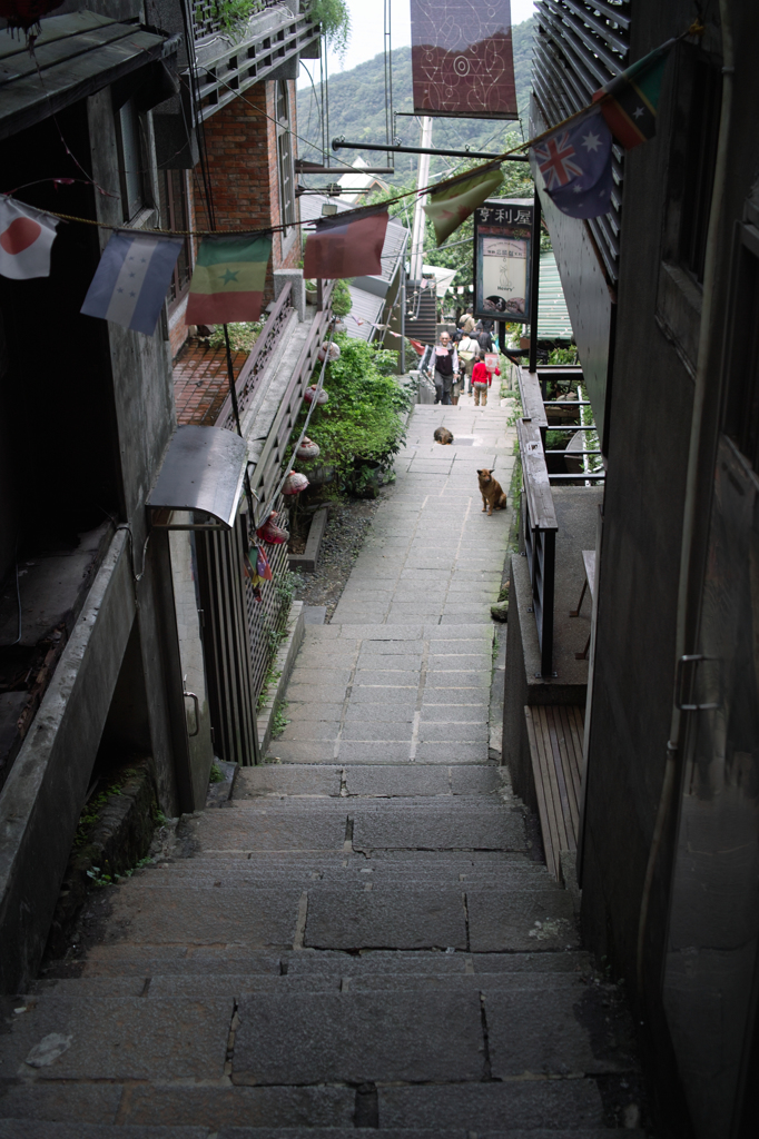 SDIM6530