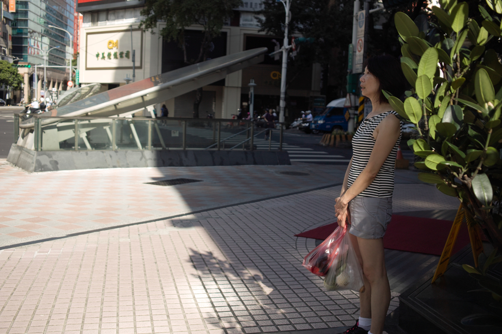 SDIM1100