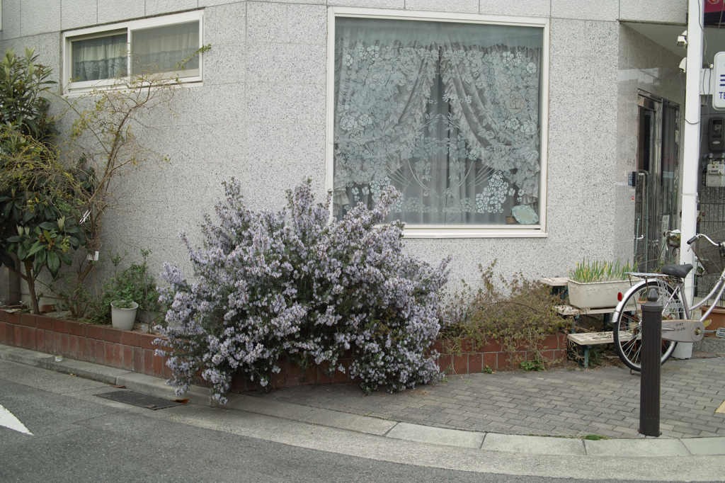 SDIM5059