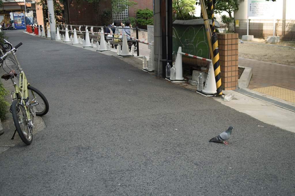 SDIM8586