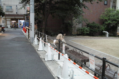 SDIM9192
