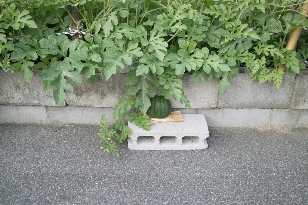 SDIM5045