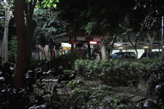 SDIM4882