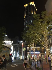 61989828