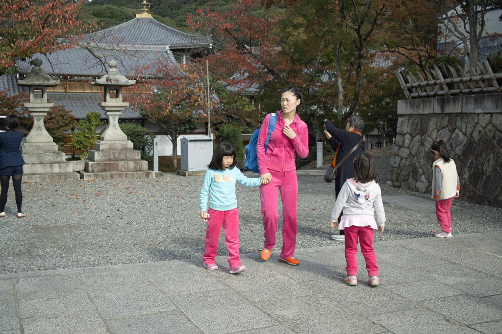 SDIM3279