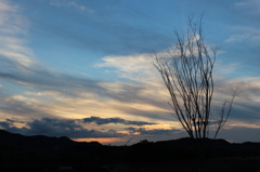 夕焼け