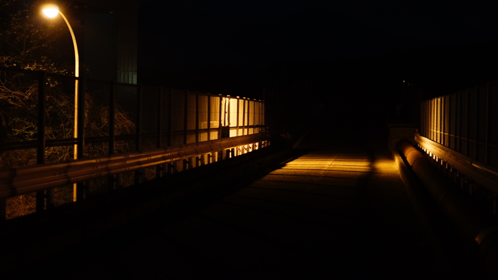 橋×フェンス×光