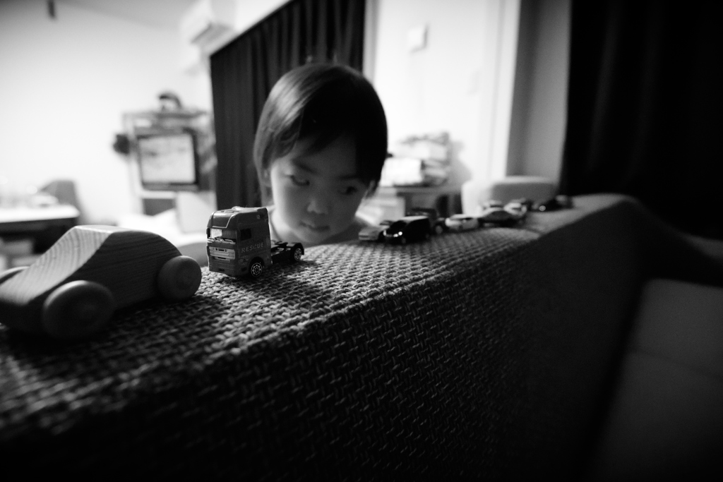 眺める遊び
