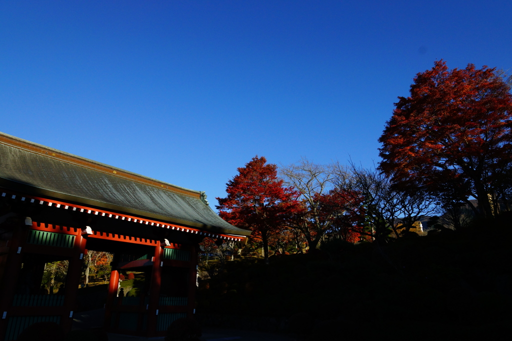 朱の門と紅葉