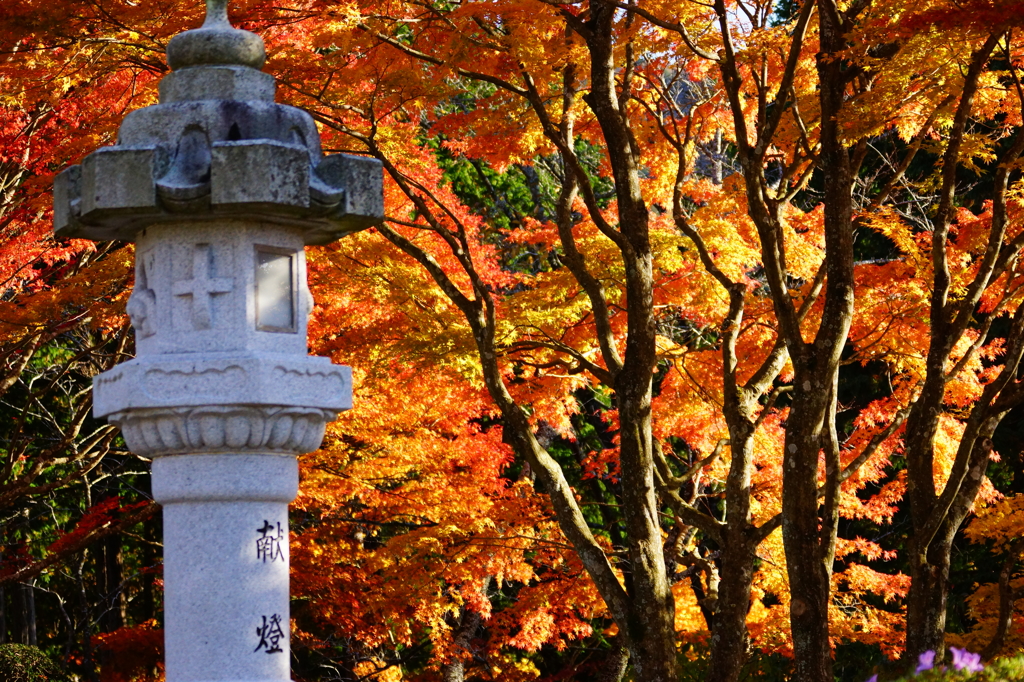 石灯籠と紅葉