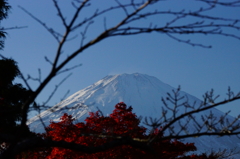 紅葉越しの富士