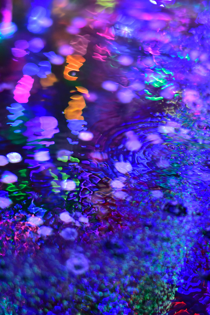 夜桜