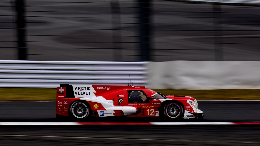 メガネ掛けたペンギン（ｗｗｗ