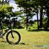 New愛車Altena号と初夏のサイクリング