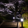 桜の待つ階段へ