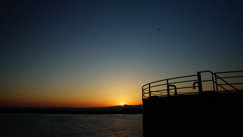 タンク×夕焼け×鳶