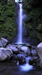 フォール兄弟_ノッポとチビ