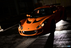 Exige