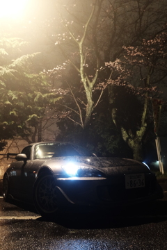 雨と霧と桜と愛車