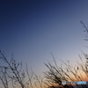夕日と夕焼けと夕月