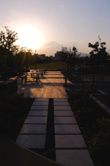 富士を臨む公園