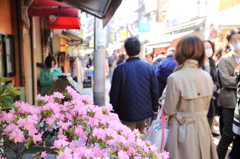 商店街の花