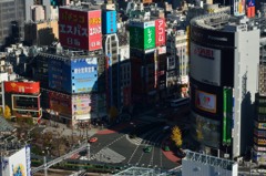２８階から