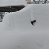 車が・・・