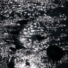 川の宇宙
