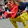 獅子舞１