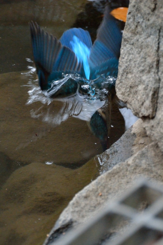 水の中
