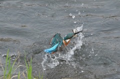 捕ったど～！！