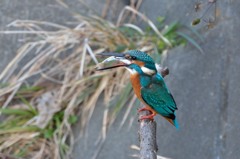 withnatureさん　こうやって食べます。