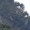 存在感