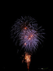 夜空に光る花火たち