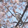 理想とはちょっと遠い