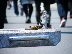 水は蛇口で
