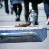 水は蛇口で