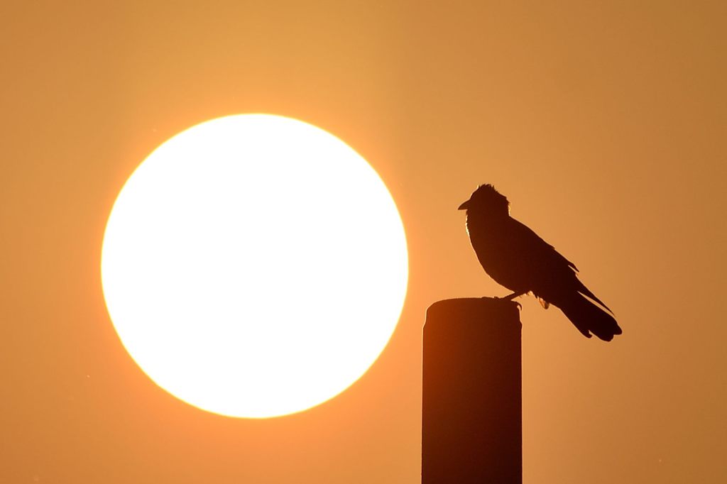 燃える太陽