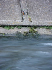 流２