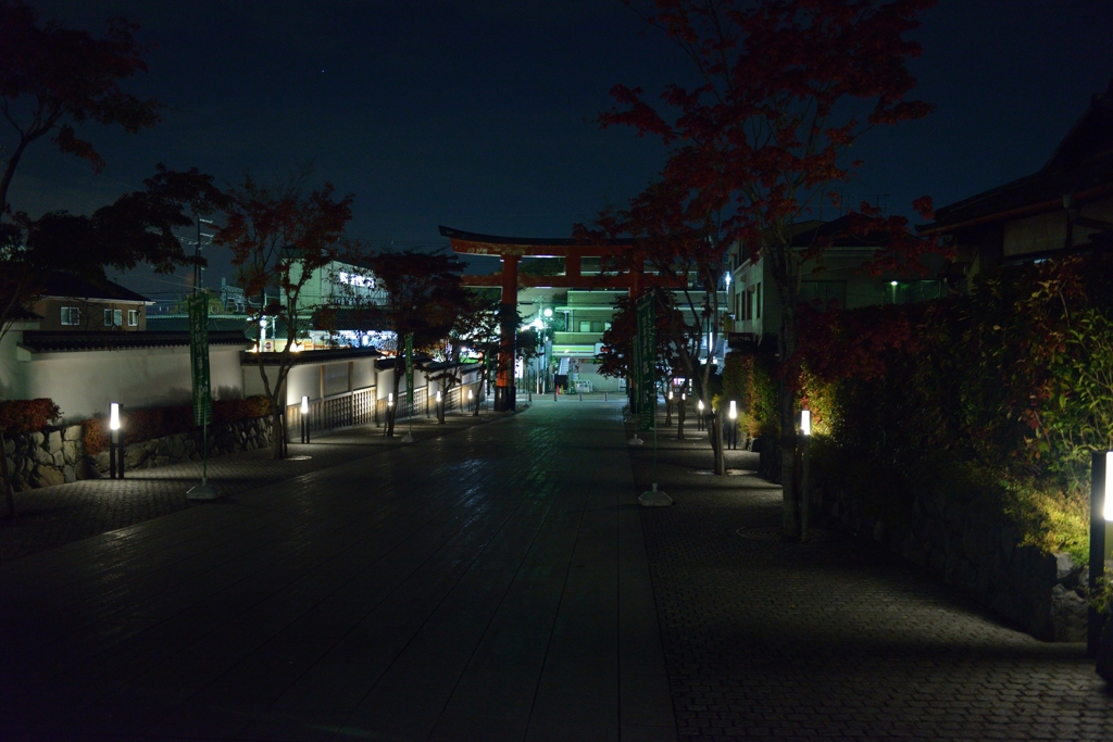 夜明け前の参道