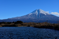 富士山と田貫湖 その1
